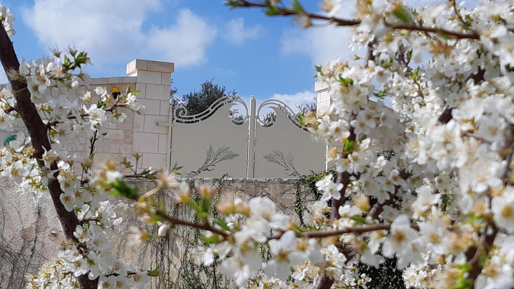 Villa Karmel Valle D'Itria Cisternino Exterior foto